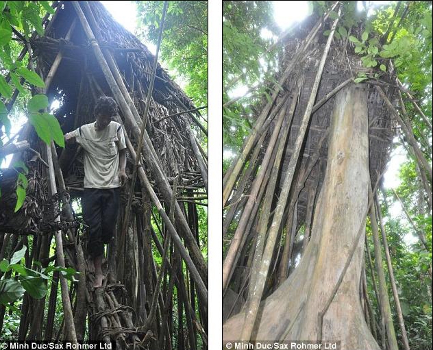 Отец и сын скрывались в джунглях 40 лет 