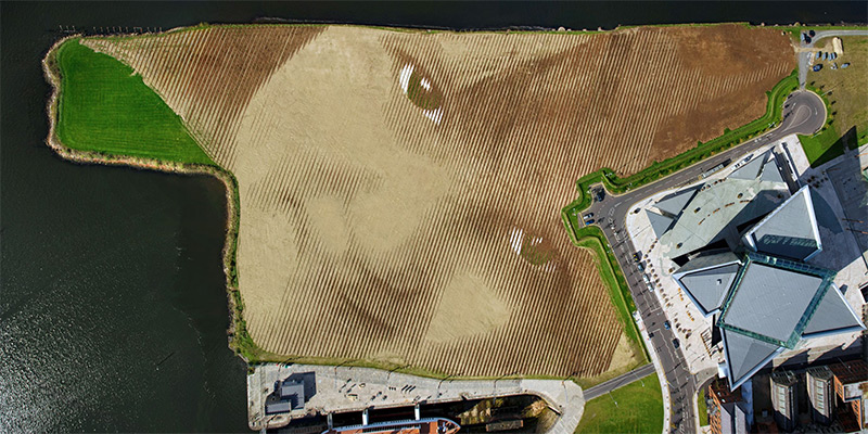 Портрет, размером 45 тысяч квадратных метров 