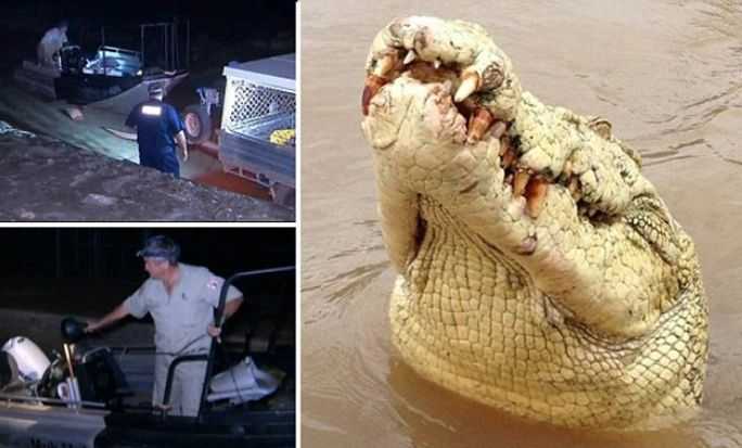 Крокодил-альбинос растерзал рыбака на глазах у жены 
