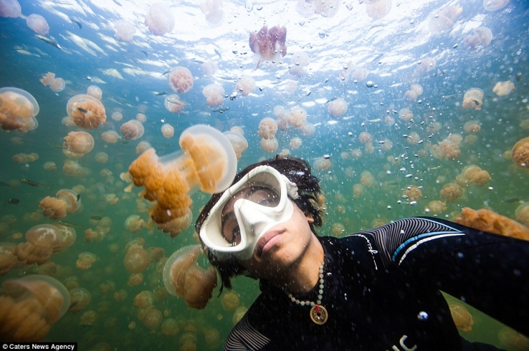 Купание в древнем соленом озере в окружении 10 миллионов медуз 