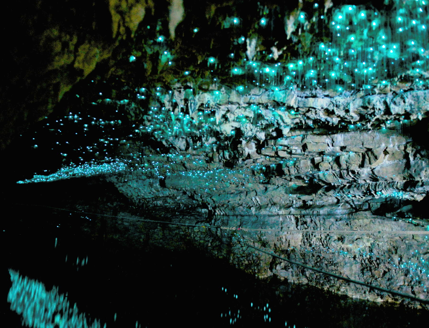 Пещеры Вайтомо 