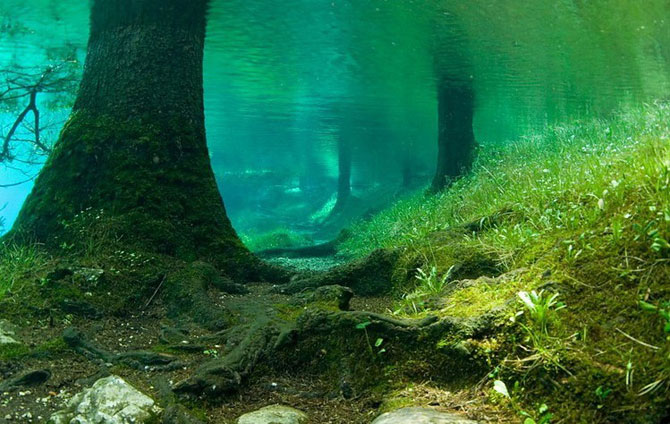 Необычное зеленое озеро 