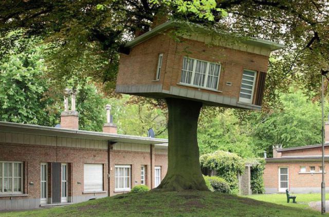Инновационные дома на деревьях 