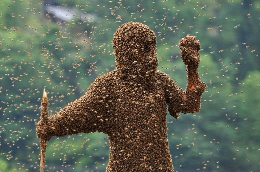 Китайца облепили тысячи пчёл 