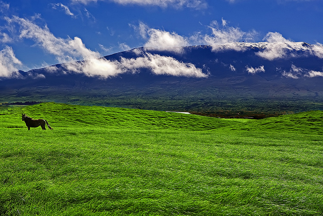 Гора Мауна-Кеа  
