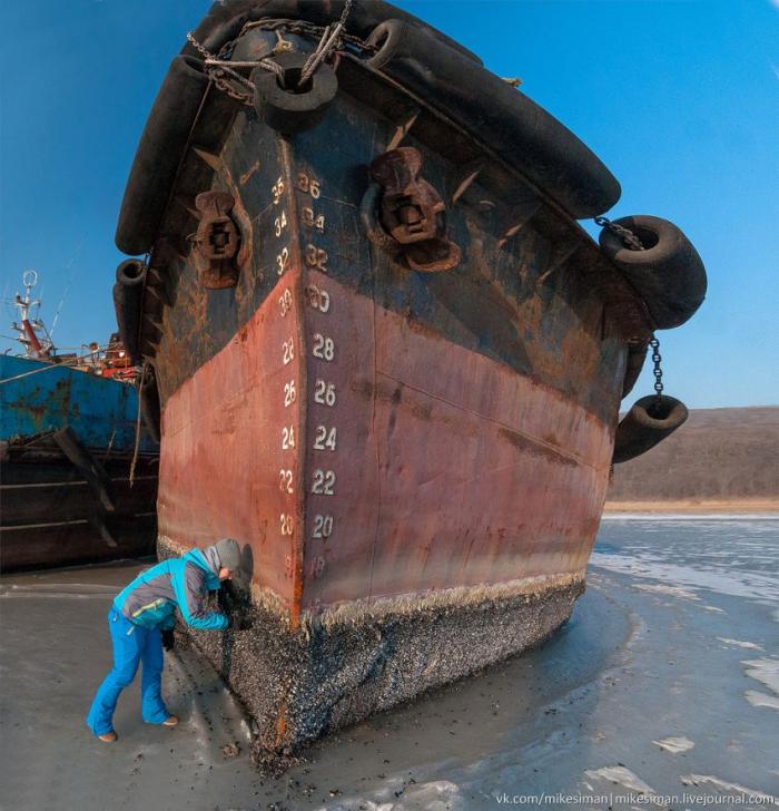Остатки кладбища кораблей в бухте Труда 