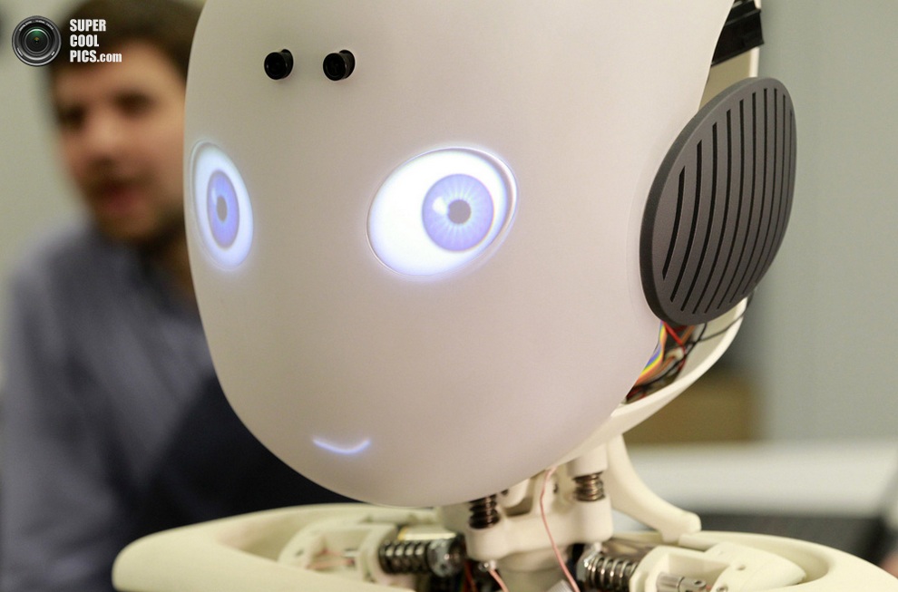 Roboy — самый человекообразный робот на планете 