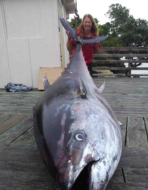 Самый большой тунец 