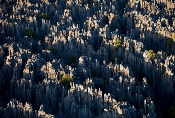 Каменный лес Цинги-де-Бемараха 