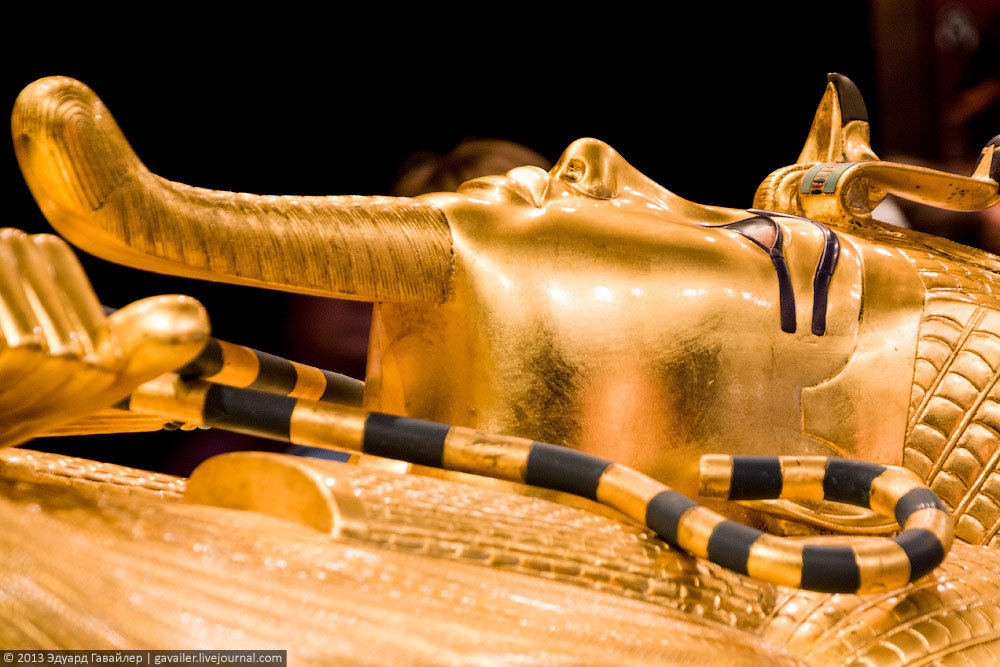 Выставка сокровищ гробницы Тутанхамона 