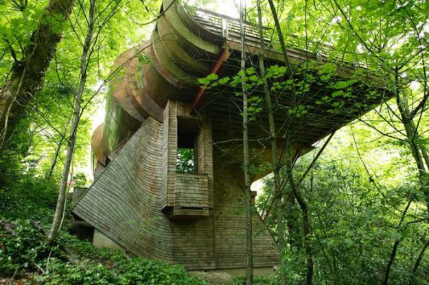 Необычный дом в лесу 