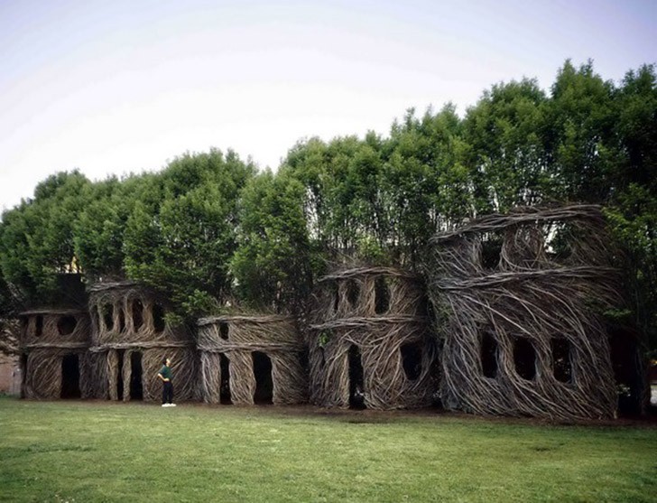 Необычные сооружения в гигантских деревьях 