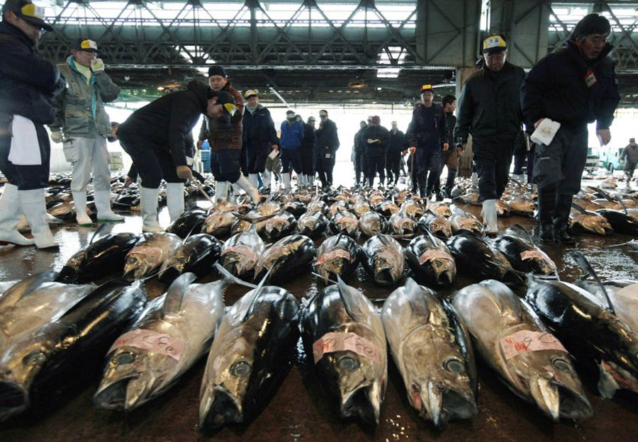 В Японии продали рыбу за 750 тысяч долларов 