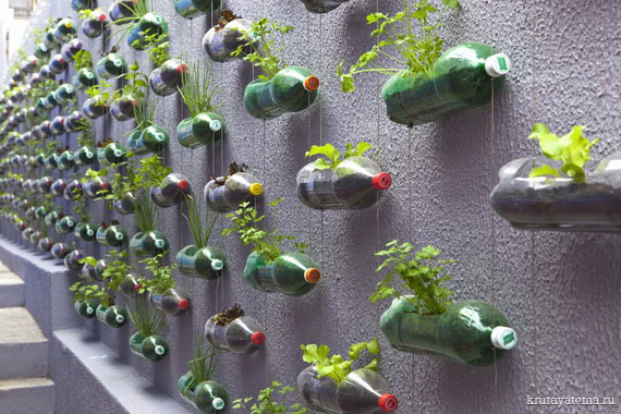 Вертикальный сад в бутылках 