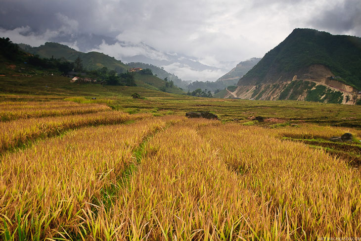 Прогулки по рисовым террасам 